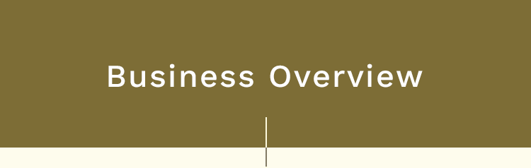 Business Overview