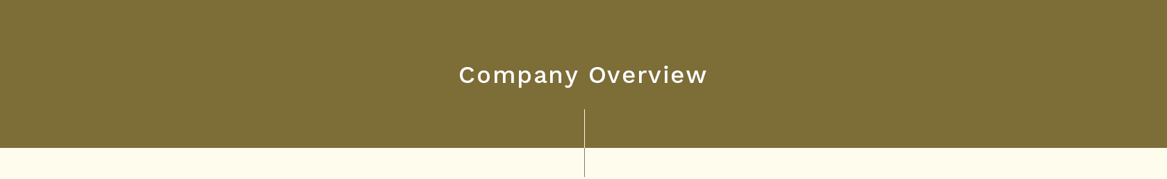 Company Overview
