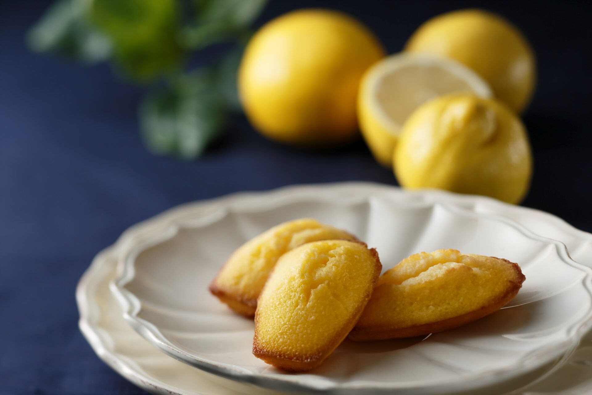 【TV放送情報】テレビ大阪「もしマネ」